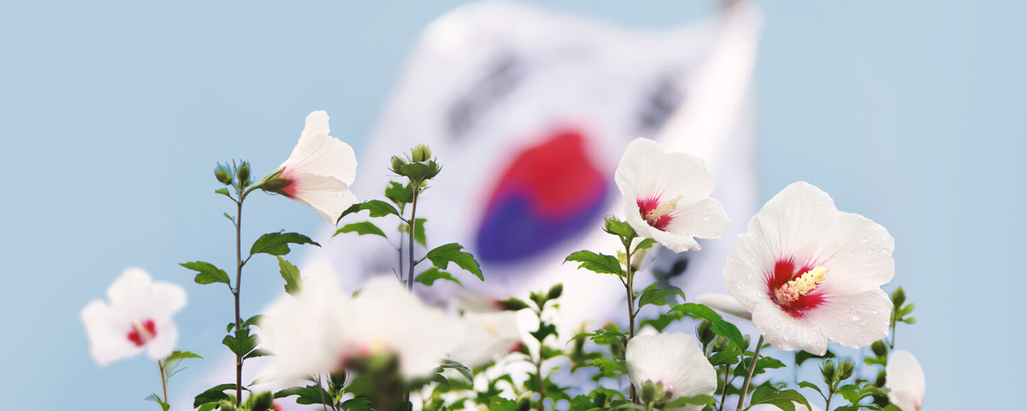무궁화와 태극기가 보이는 사진