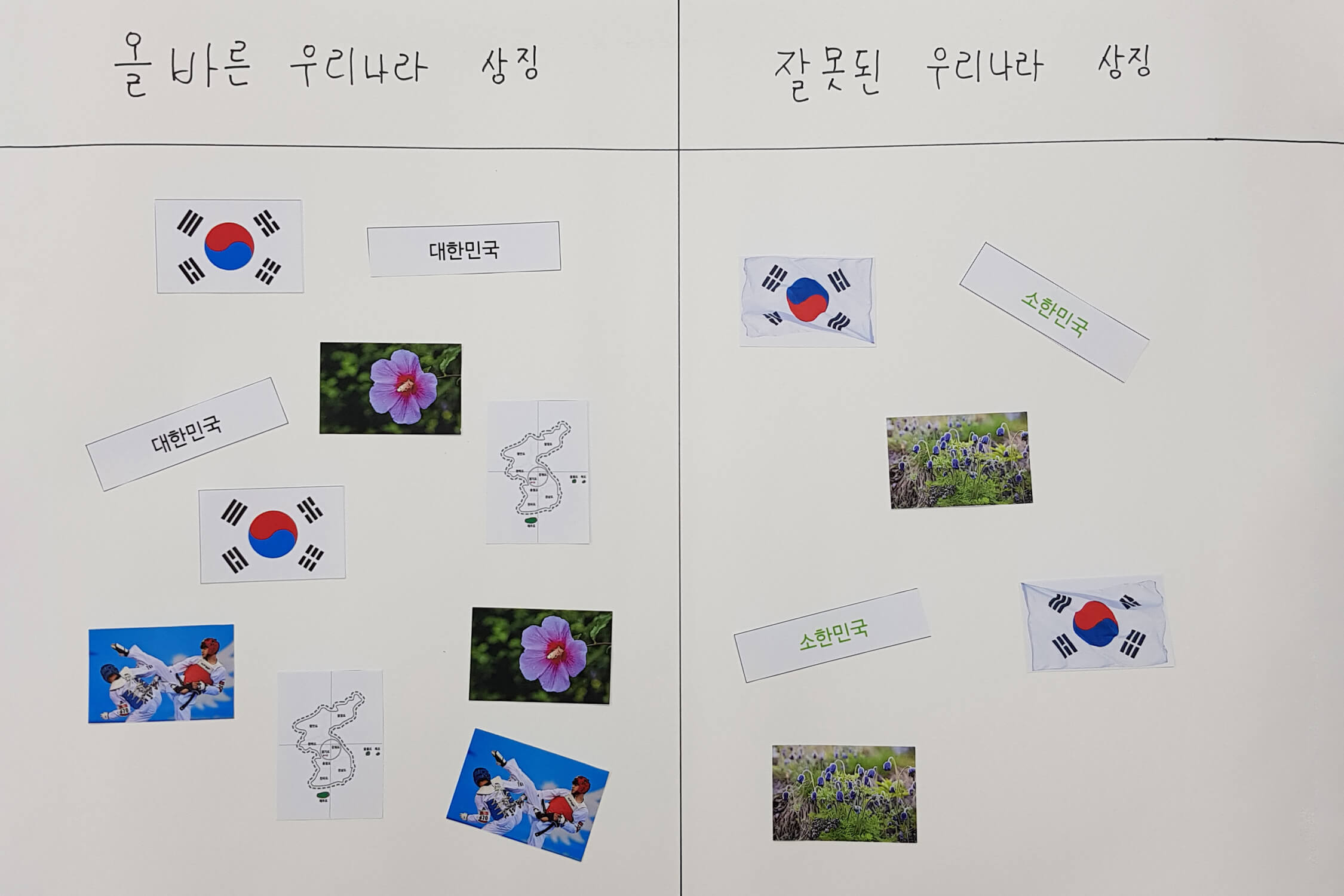 올바른 우리나라 상징과 잘못된 우리나라 상징을 분류한 사진