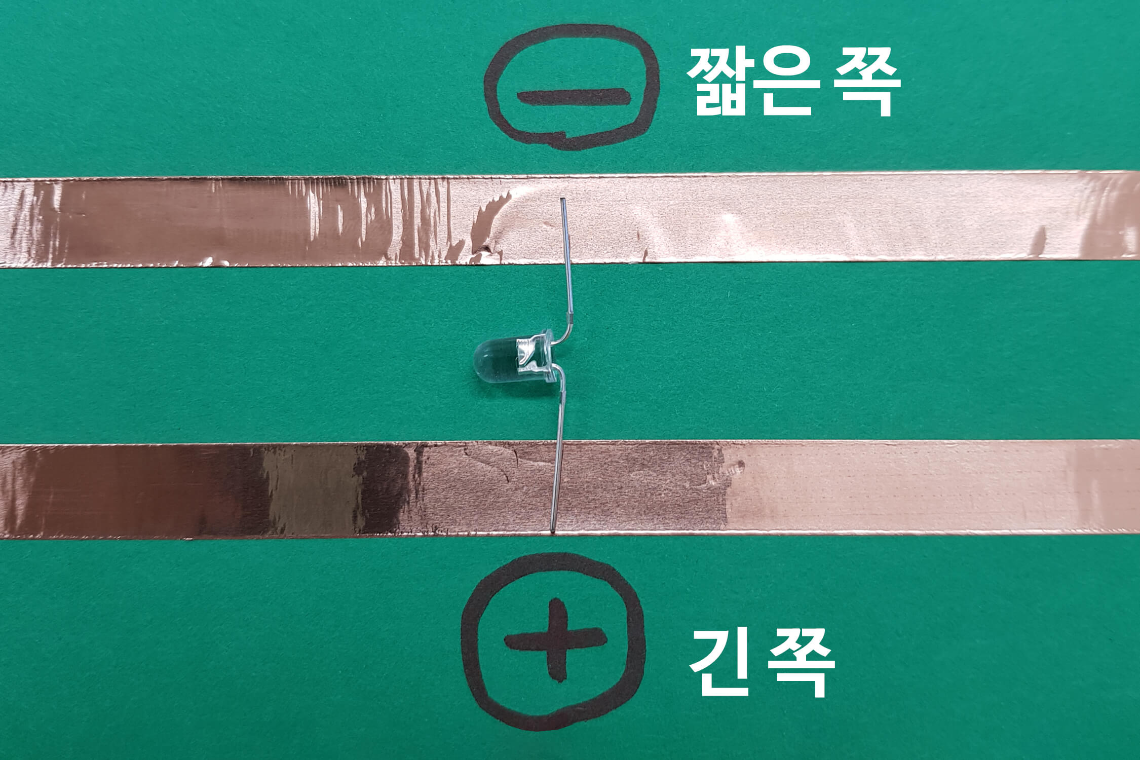 LED 전구를 긴 다리 쪽이 +, 짧은 쪽이 -로 향하도록 구부려 올려놓은 모습