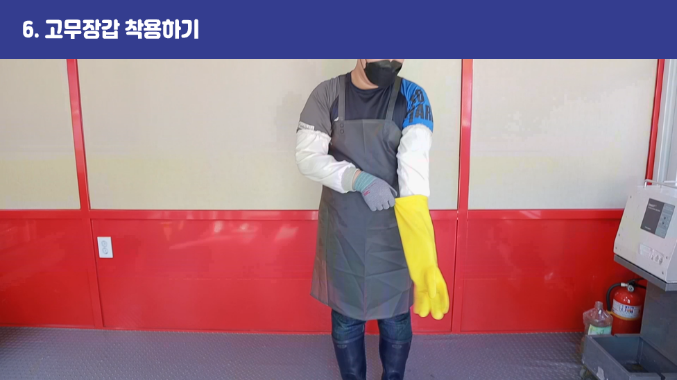 6. 고무장갑 착용하기
